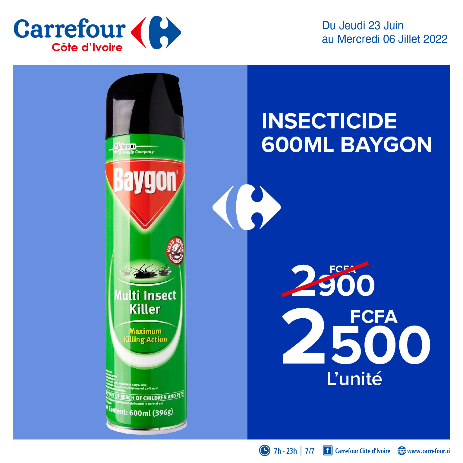 INSECTICIDE 600ML BAYGON